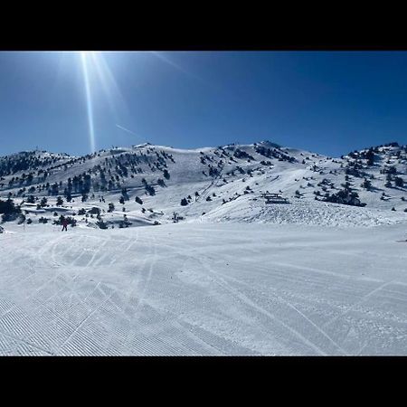 U061 - Grand Studio Renove - Vue Montagne Greolieres Dış mekan fotoğraf